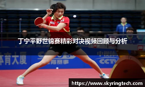 丁宁平野世锦赛精彩对决视频回顾与分析