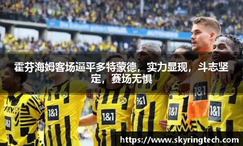 米乐YY易游