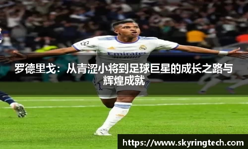 易游体育