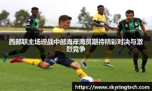 西部联主场迎战中部海岸海员期待精彩对决与激烈竞争