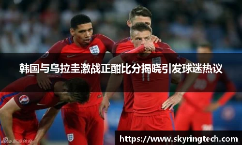 yy易游